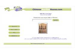 chinese auction website